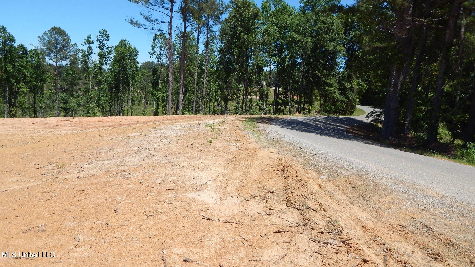 101 Hugh White State Pk Road Grenada, MS 38901 - Photo 8 of 15 DSCN5061