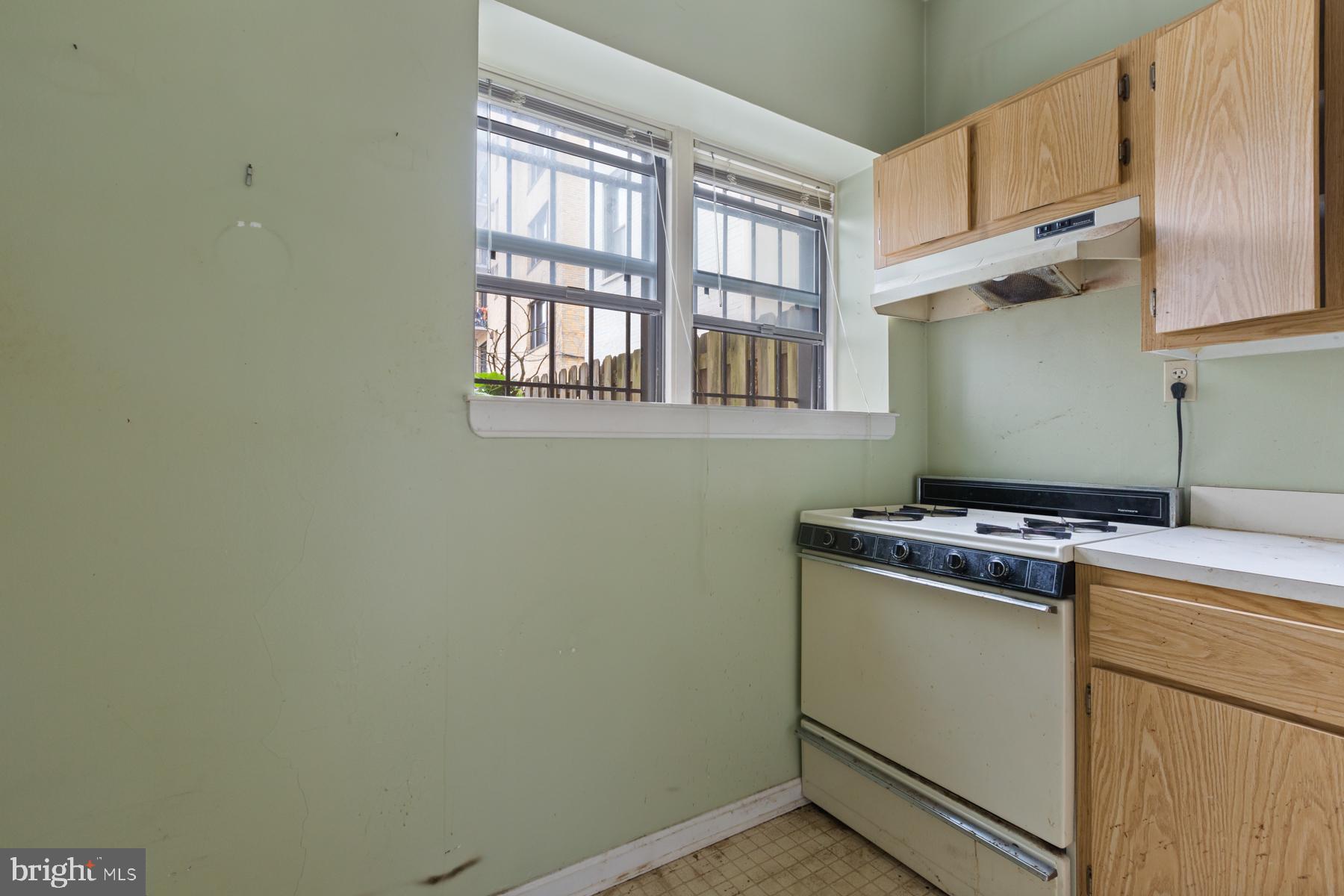1669 Columbia Road Northwest, Unit 113 Washington, DC 20009 - Photo 12 of 25 Kitchen with double windows
