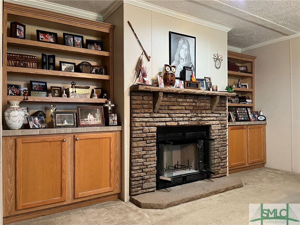 252 Shellcracker Drive Fleming, GA 31309 - Photo 9 of 23