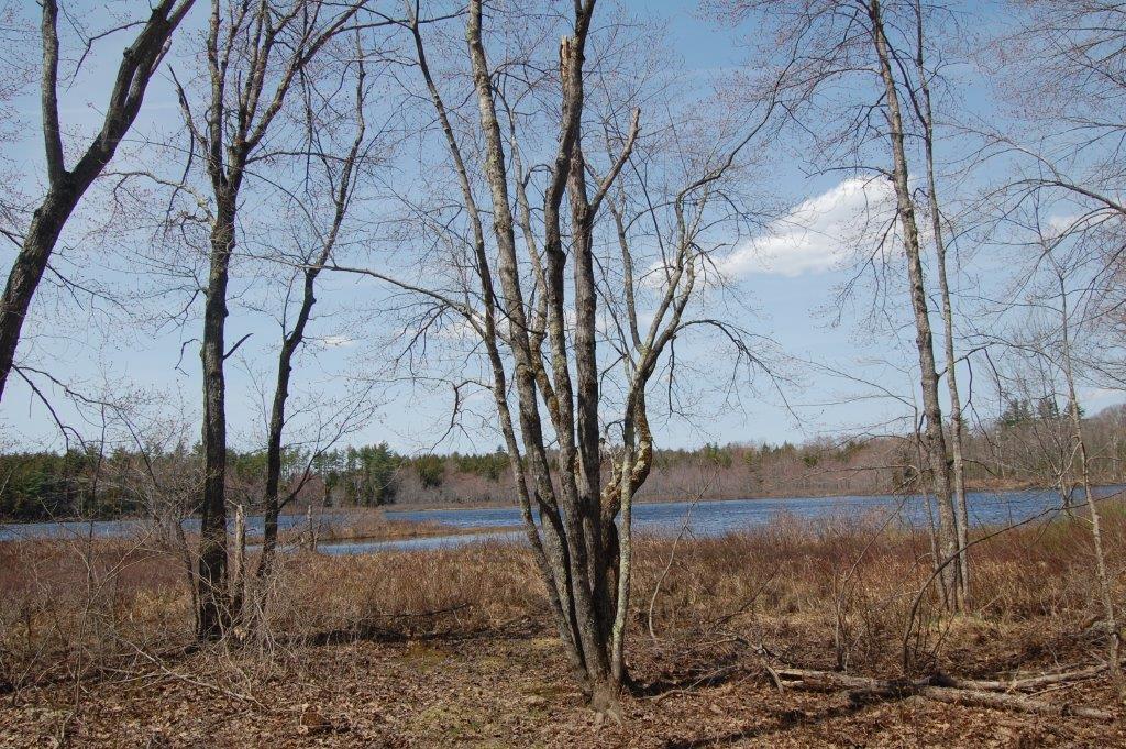 362 Somerville Road Somerville, ME 04348 - Photo 9 of 26 WATERS EDGE