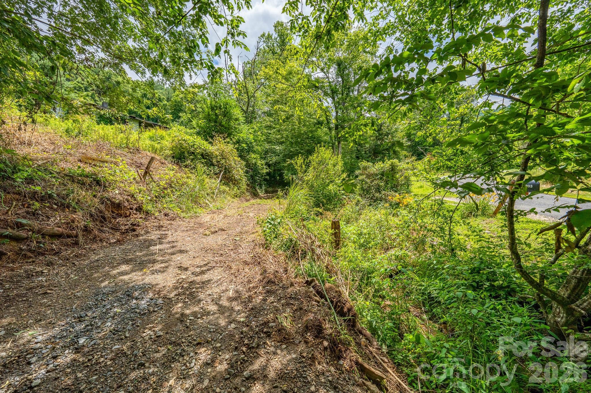 789 Jarrett Cove Road Marshall, NC 28753 - Photo 13 of 41