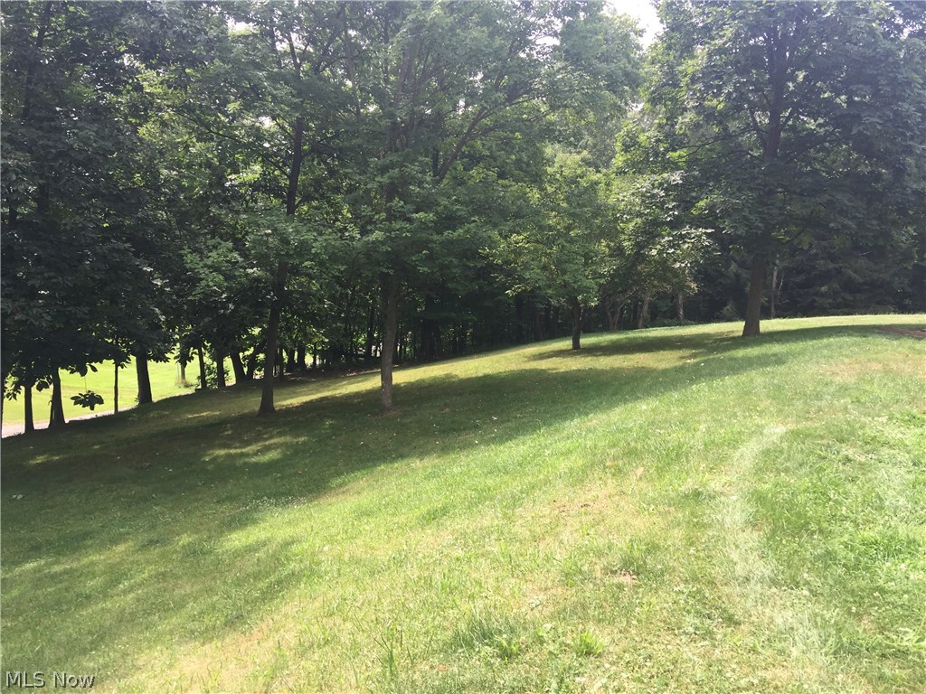 15633 McDonald Road Lisbon, OH 44432 - Photo 4 of 9