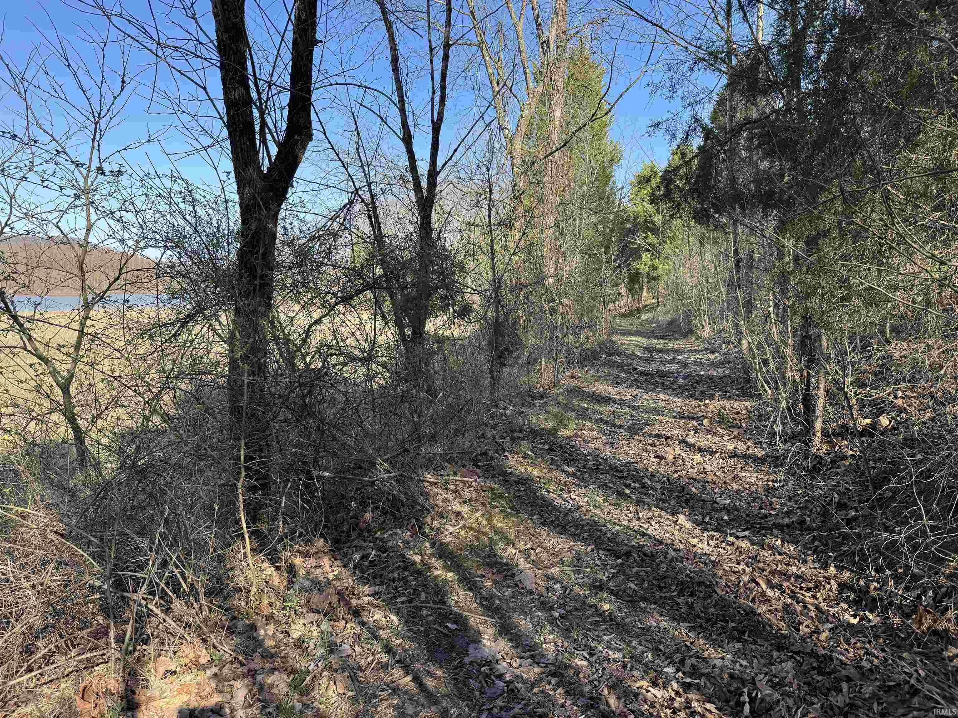 Off Off Lily Tell City, IN 47586 - Photo 16 of 33