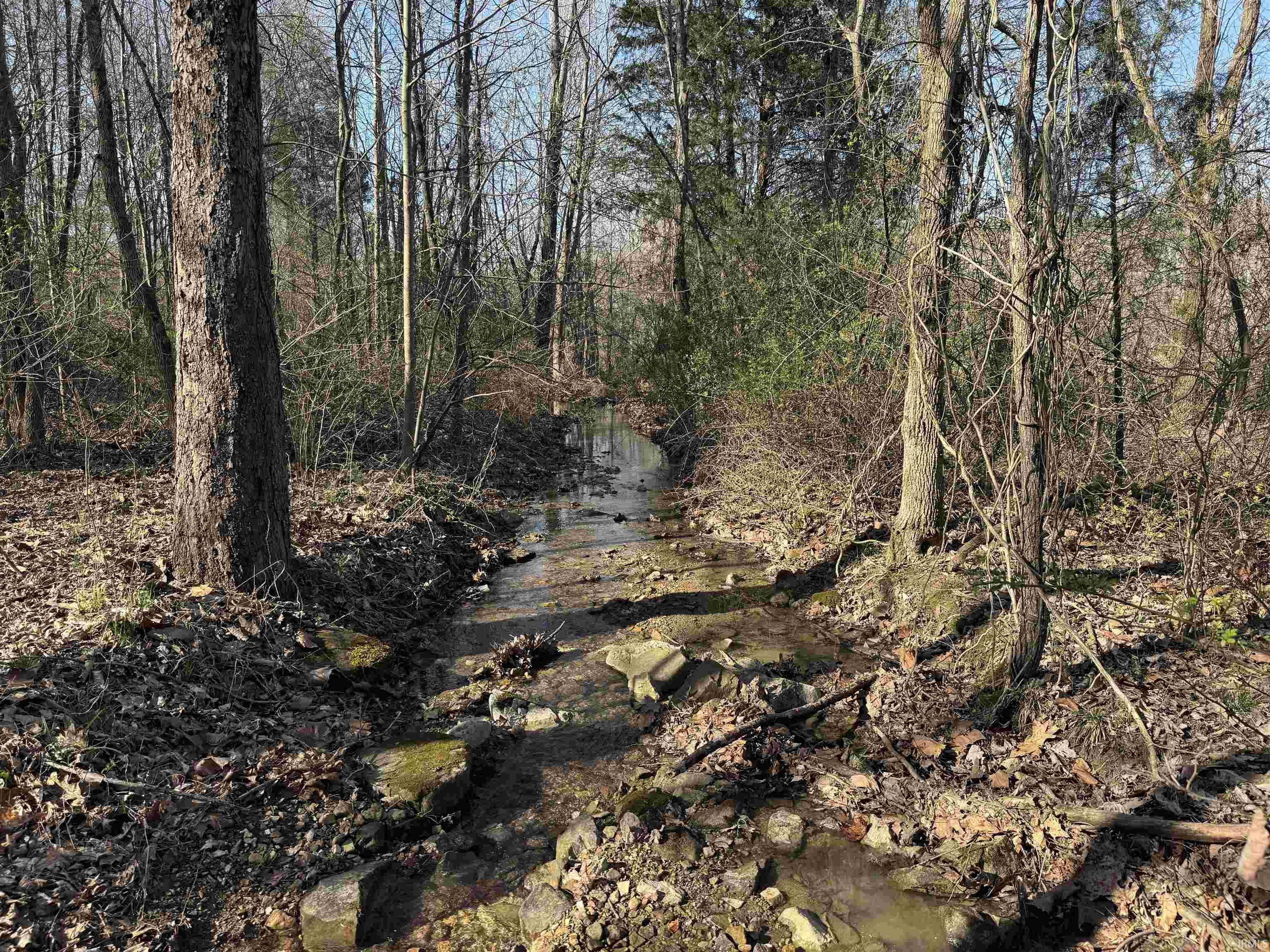 Off Off Lily Tell City, IN 47586 - Photo 17 of 33