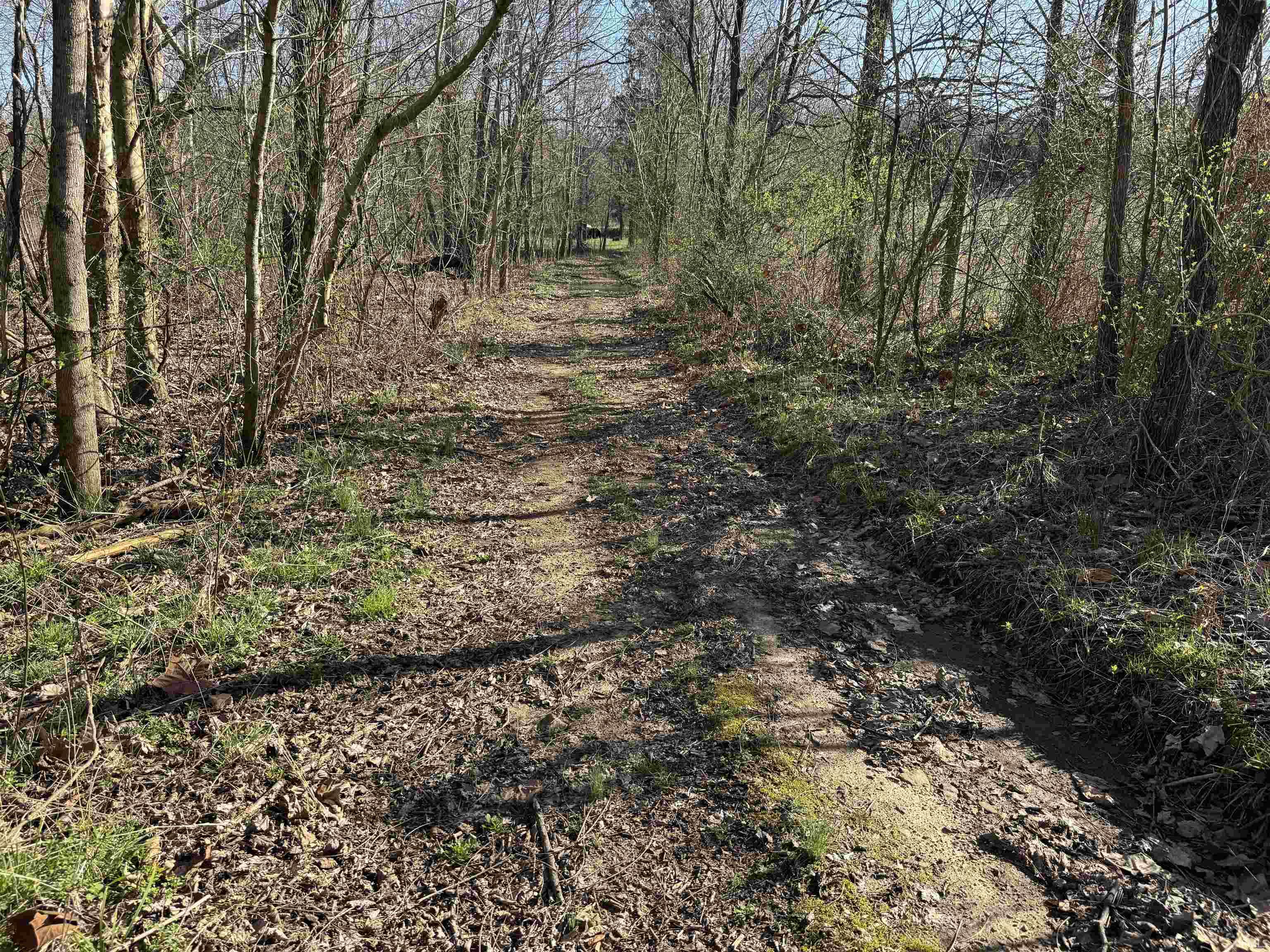 Off Off Lily Tell City, IN 47586 - Photo 22 of 33