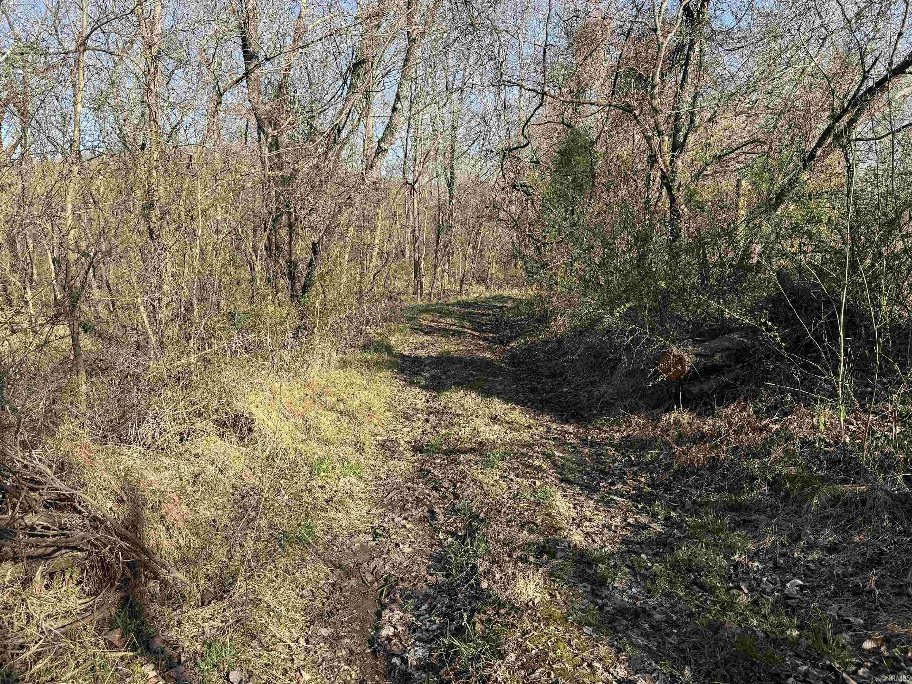 Off Off Lily Tell City, IN 47586 - Photo 23 of 33