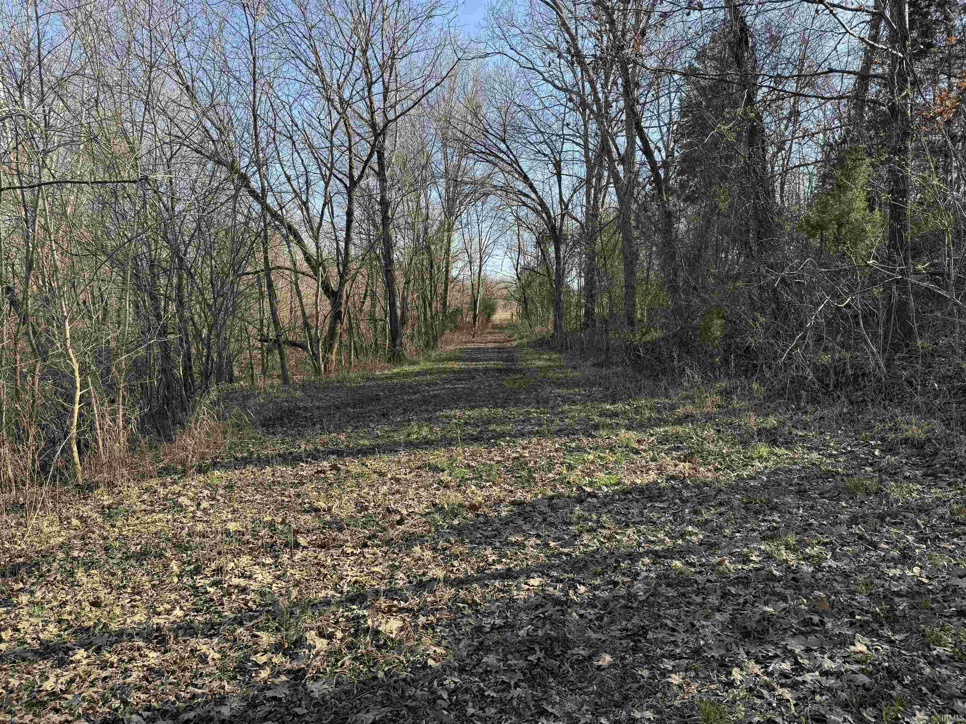 Off Off Lily Tell City, IN 47586 - Photo 3 of 33