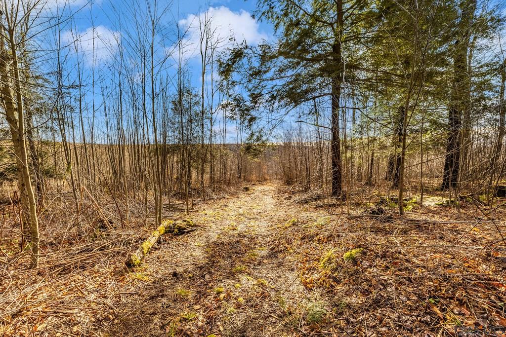 0 Lot 6 Mountain Road Lilly, PA 15938 - Photo 22 of 33 Gallery Image 22