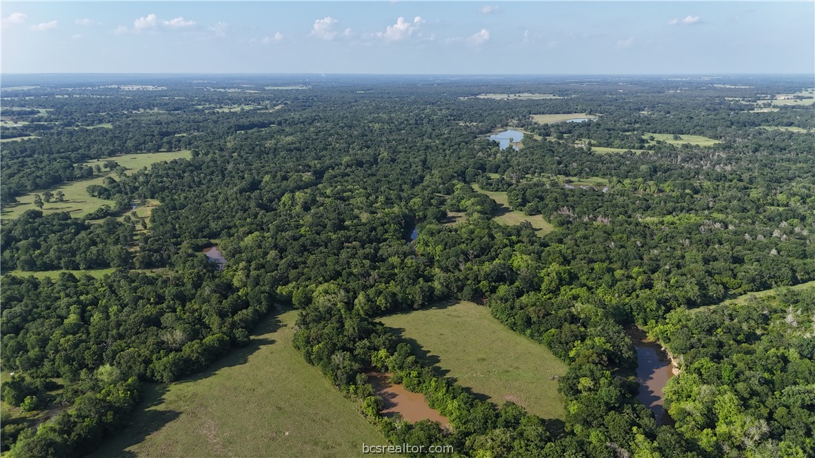 Tbd Tbd Wilson Pasture Road Bryan, TX 77808 - Photo 2 of 29 an aerial view of residential house with outdoor space and trees all around