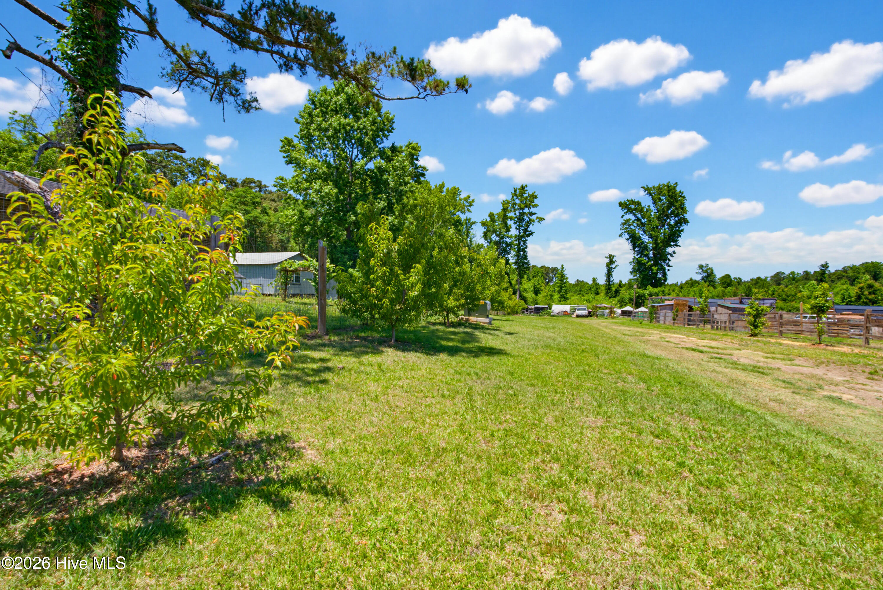 6615 Silver Spoon Road Clarkton, NC 28433 - Photo 28 of 53 MLS_Ready (16 of 40)