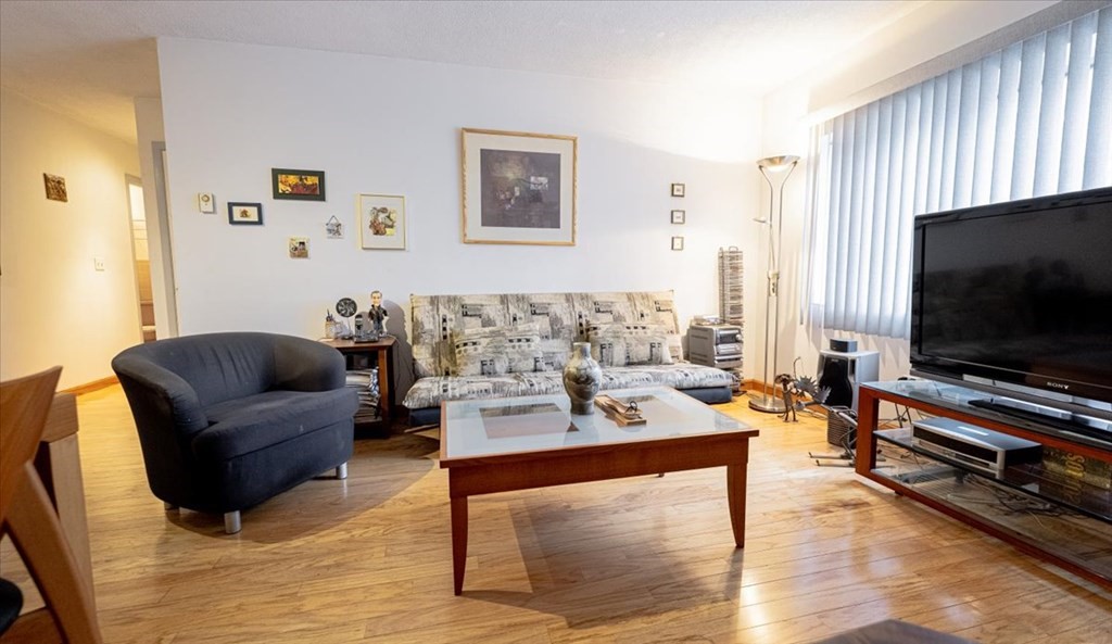 2 Larose Place, Unit 8 Boston, MA 02135 - Photo 4 of 19 a living room with furniture and a flat screen tv