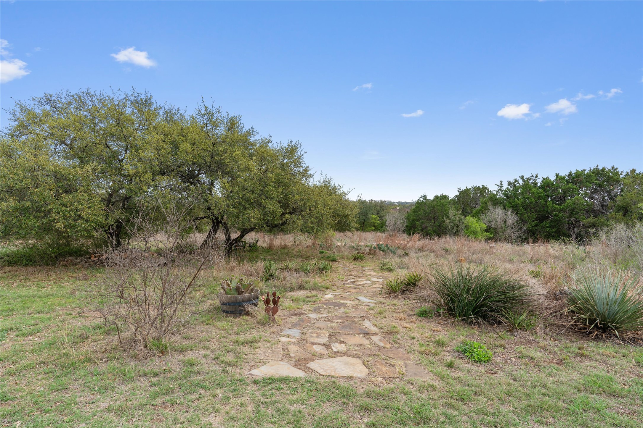404 Skyline Road Georgetown, TX 78628 - Photo 6 of 40