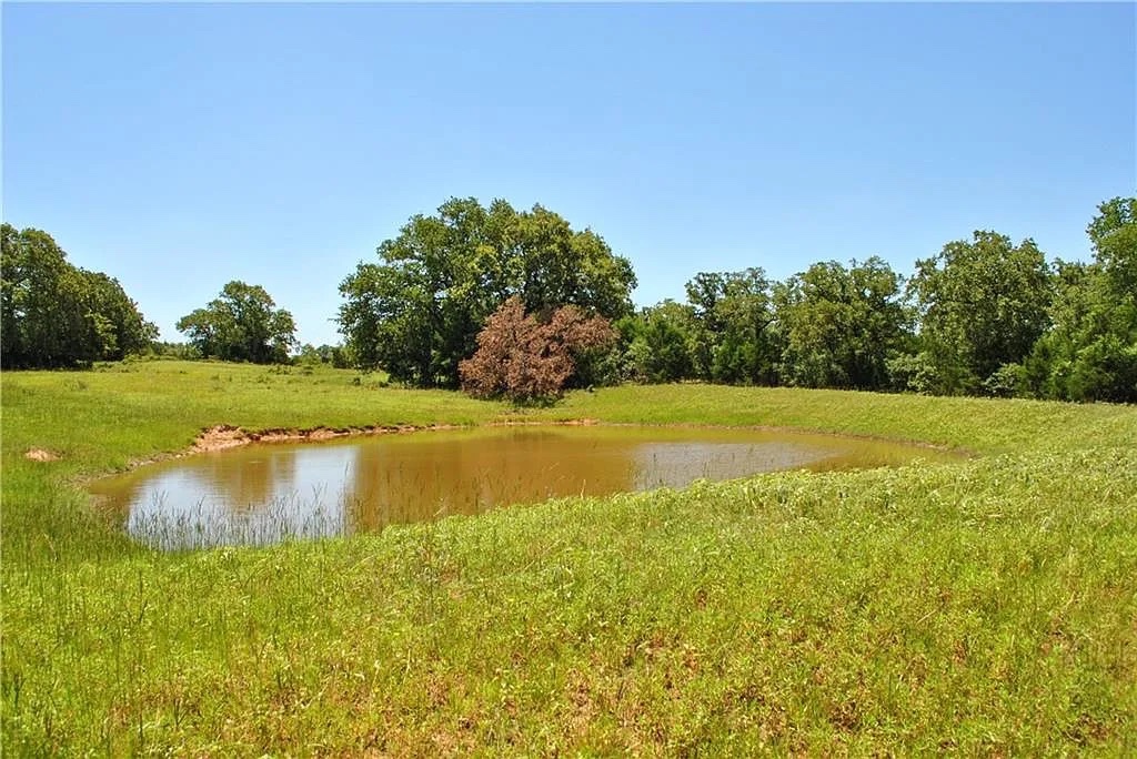 21741 East Interstate 10 Luling, TX 78648 - Photo 4 of 11 A tranquil pond rests amidst lush green pastures, framed by mature trees under a clear sky.