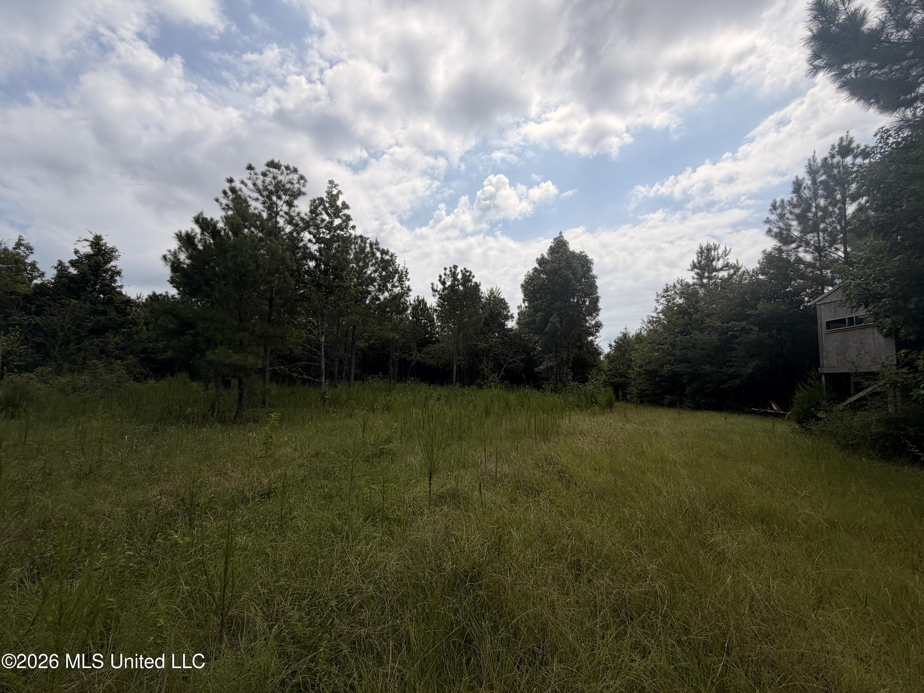 0 Beartown Road Jayess, MS 39641 - Photo 3 of 28 IMG_6500