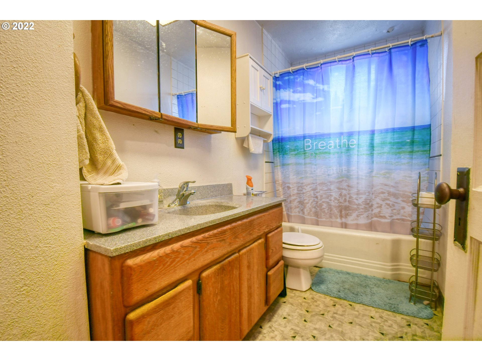 1302 Southwest Goodwin Lane Pendleton, OR 97801 - Photo 17 of 21 a bathroom with a sink a toilet and shower