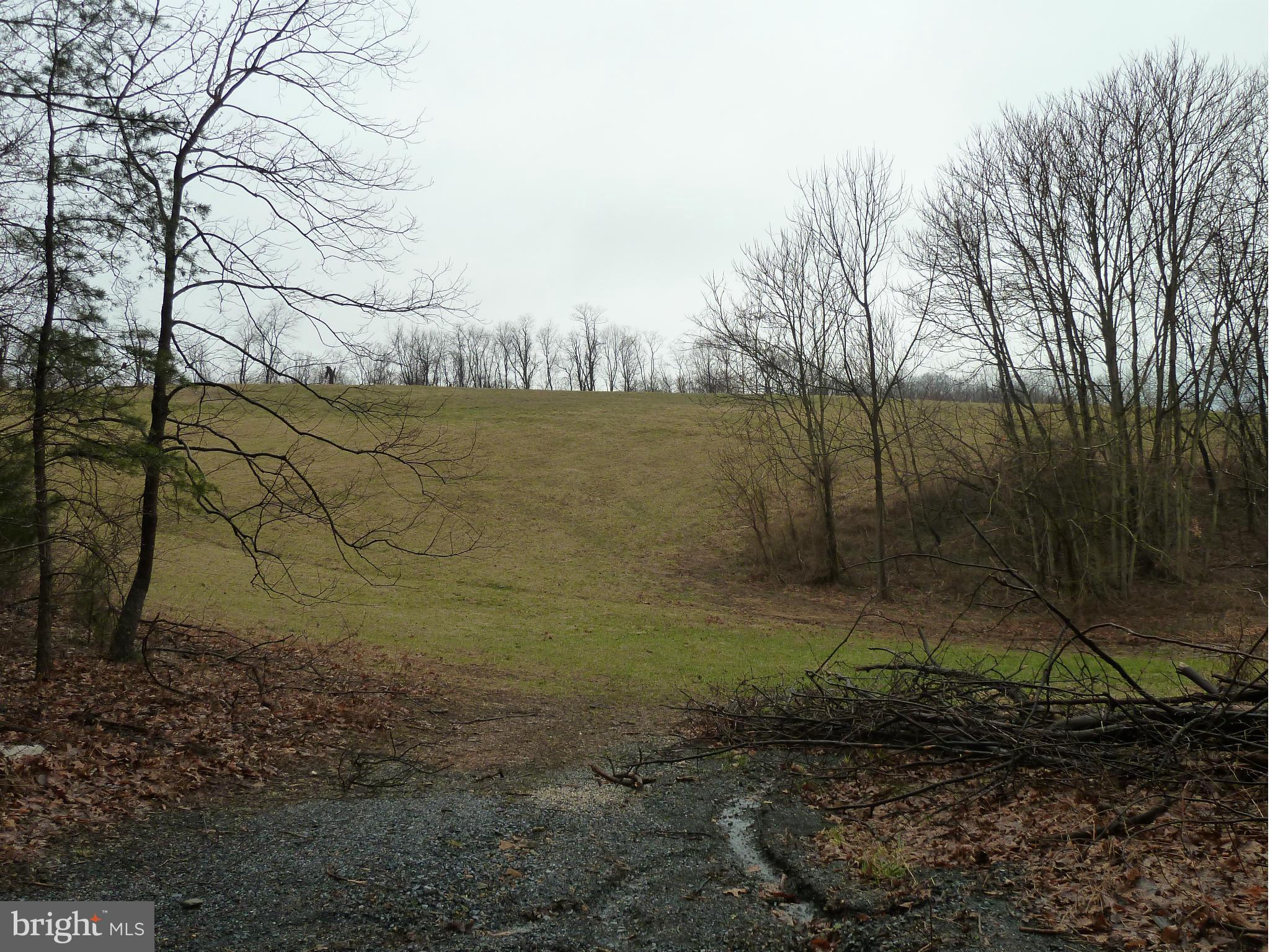 Park Hall Road Boonsboro, MD 21713 - Photo 14 of 14 View