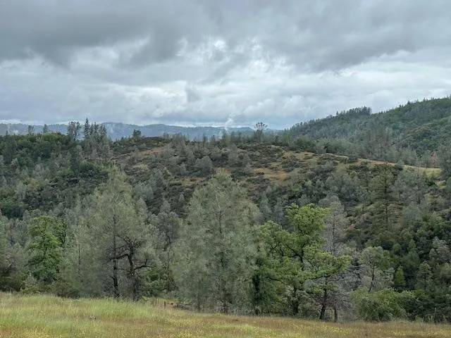 a view of a green field