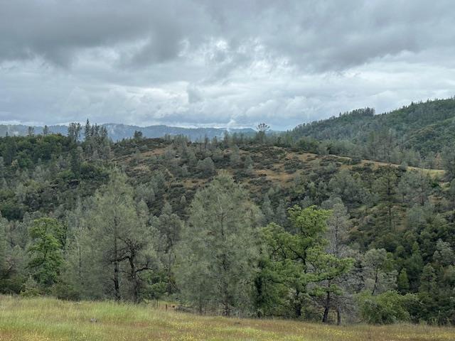 a view of a green field
