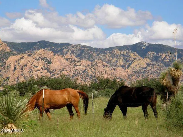 a backyard of a house