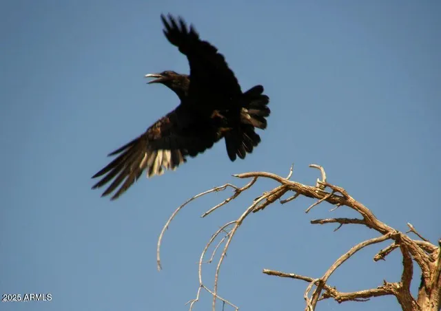 a bathroom with a swimming pool