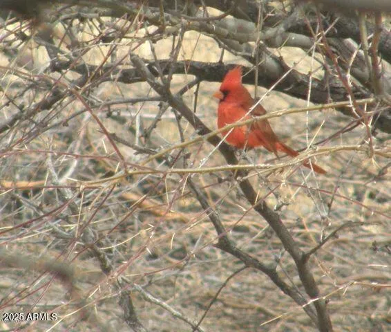 $147,000 | 5782 East De Vaca Circle, Unit 18, St. David, AZ 85630