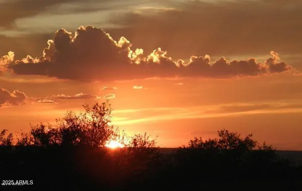 a view of a yard in front of a house