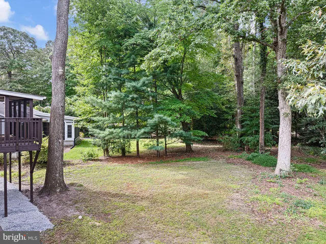 a view of a yard with a tree