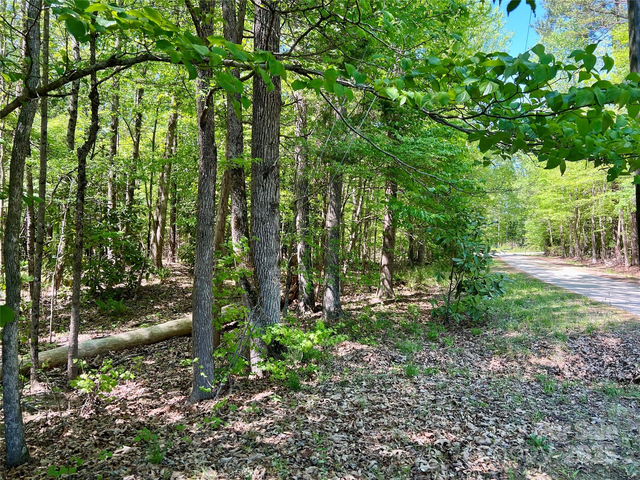 0 Monroe Highway Lancaster, SC 29720 - Photo 2 of 10