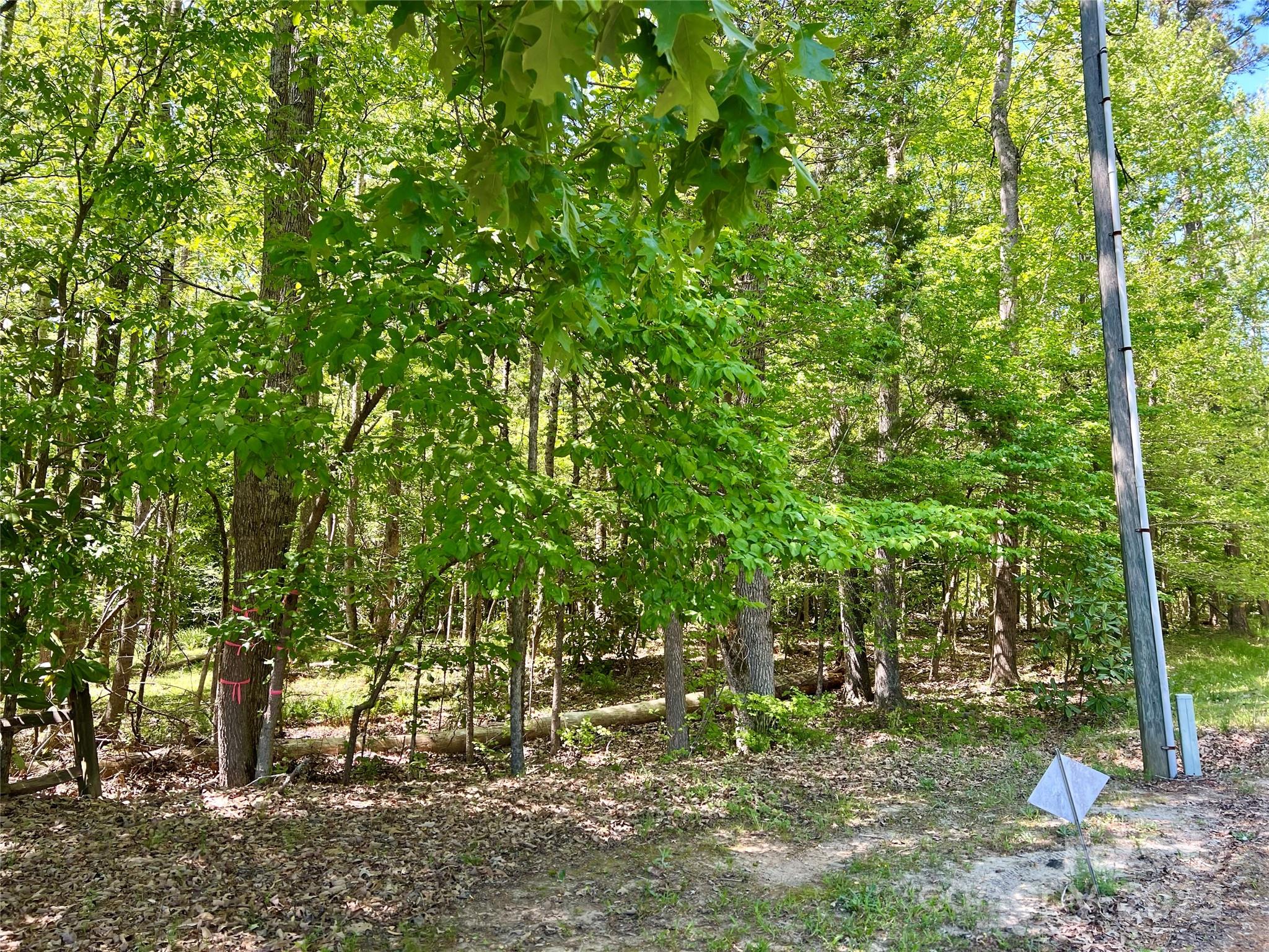 0 Monroe Highway Lancaster, SC 29720 - Photo 3 of 10