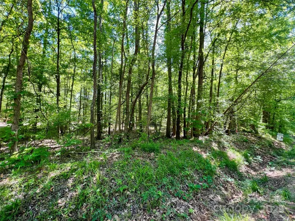 $199,000 | 0 Monroe Highway, Lancaster, SC 29720