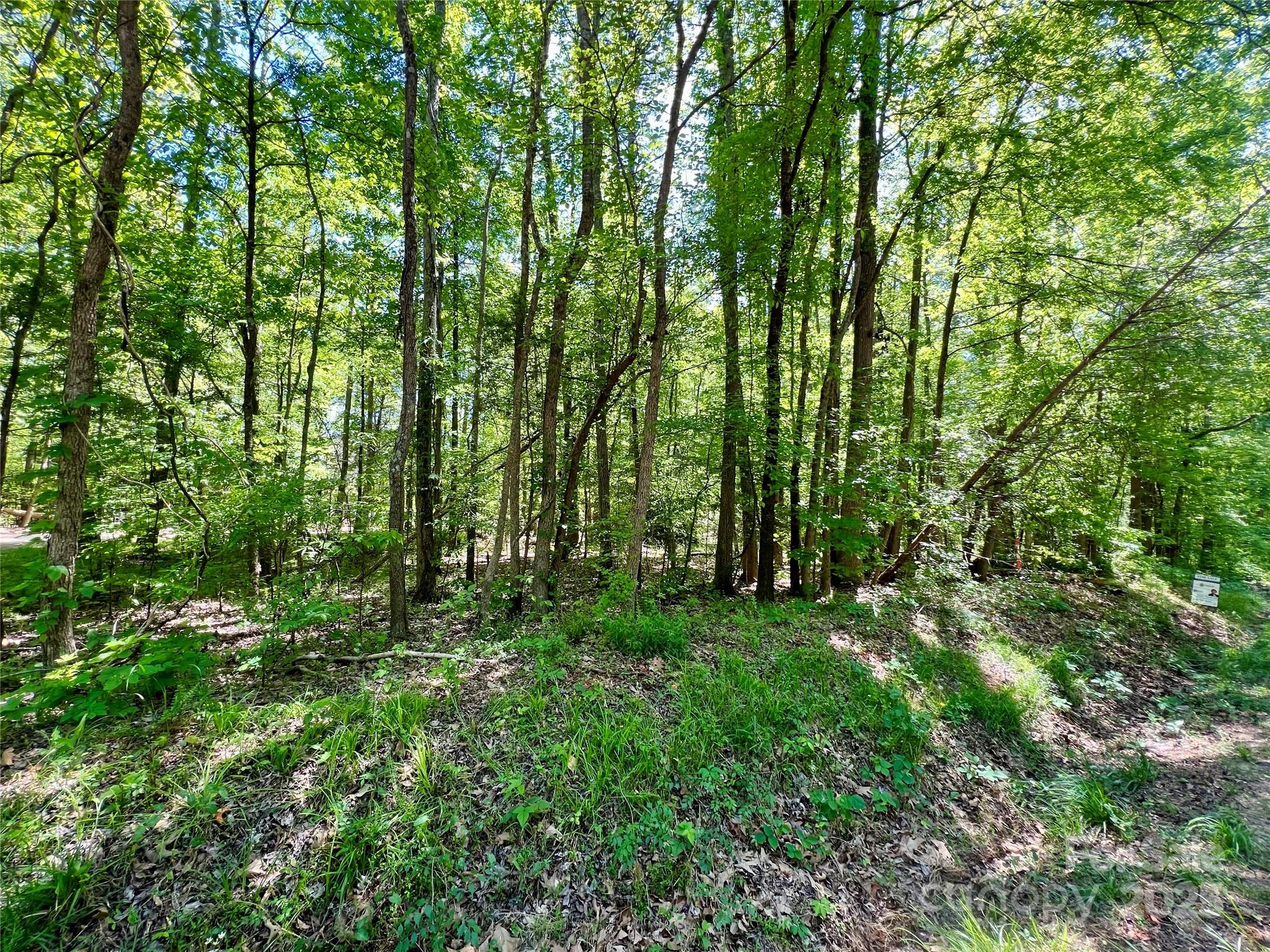 0 Monroe Highway Lancaster, SC 29720 - Photo 5 of 10