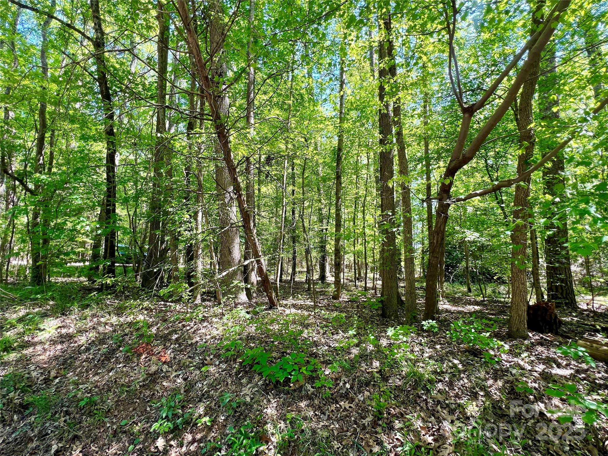 0 Monroe Highway Lancaster, SC 29720 - Photo 6 of 10