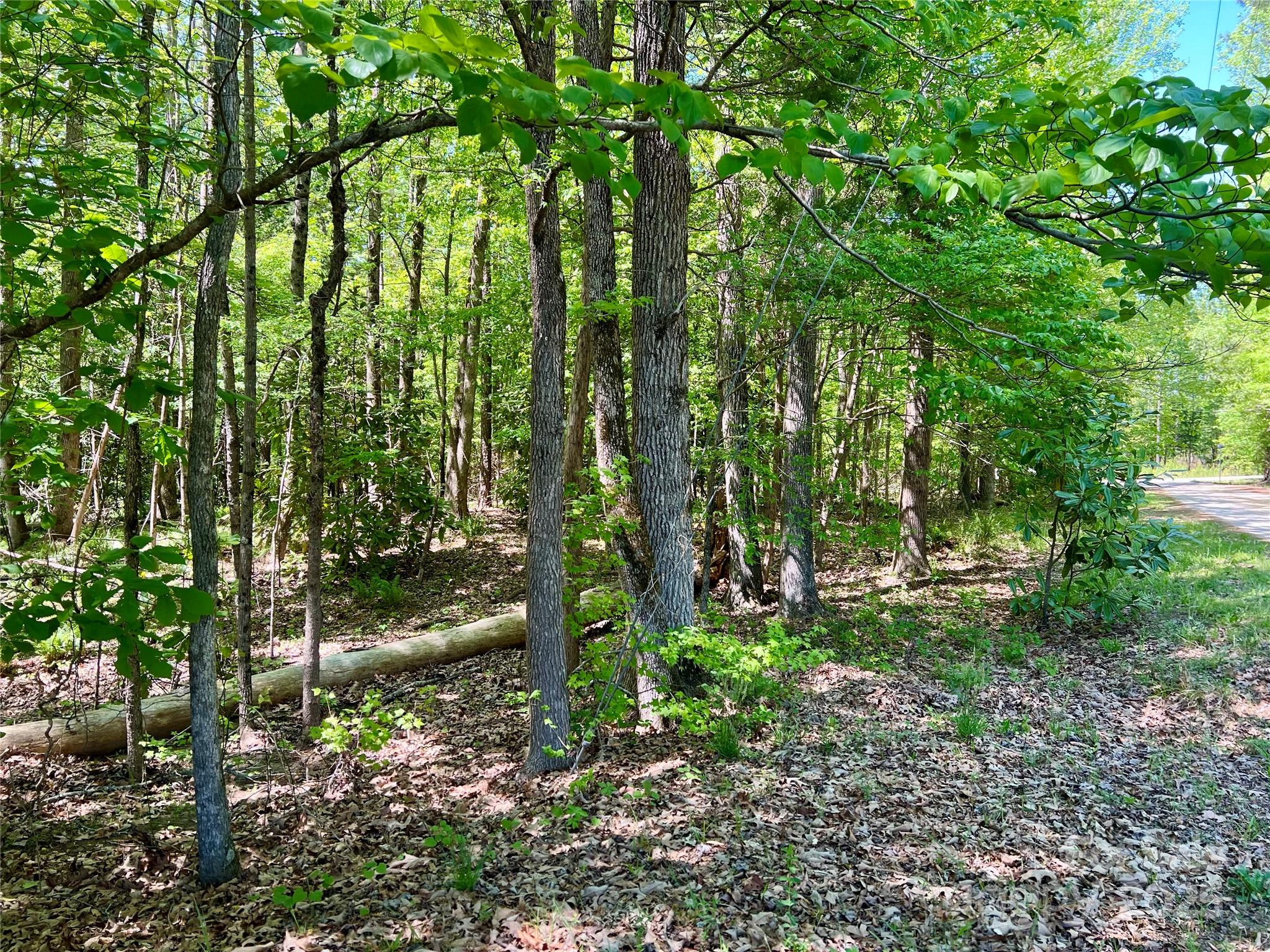 0 Monroe Highway Lancaster, SC 29720 - Photo 8 of 10