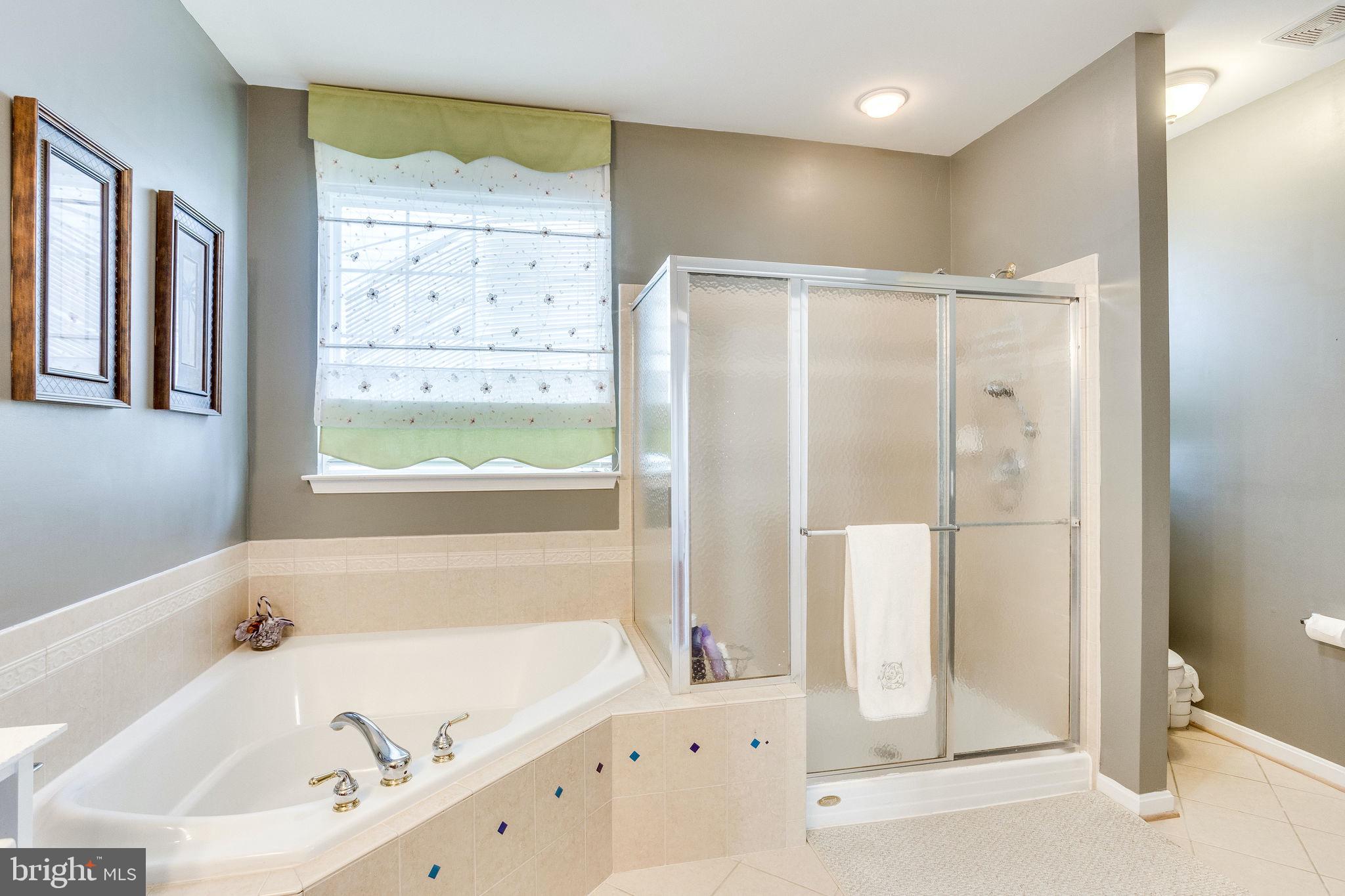4005 Lunar Eclipse Drive Dumfries, VA 22025 - Photo 23 of 52 Master bath - both soaking tub and stand up shower