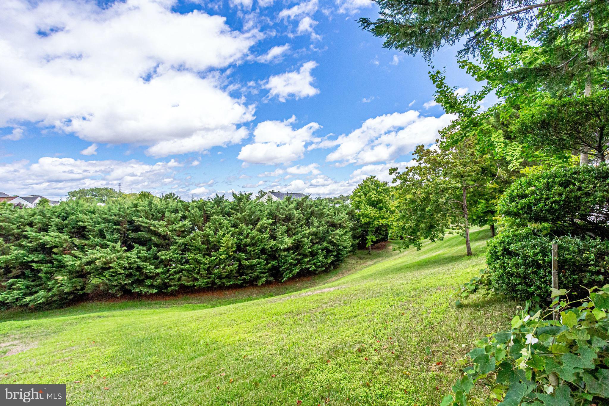 4005 Lunar Eclipse Drive Dumfries, VA 22025 - Photo 37 of 52 Beautiful views