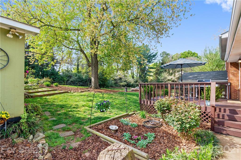 3018 Goneaway Road Charlotte, NC 28210 - Photo 33 of 35 a view of a yard with plants and large trees
