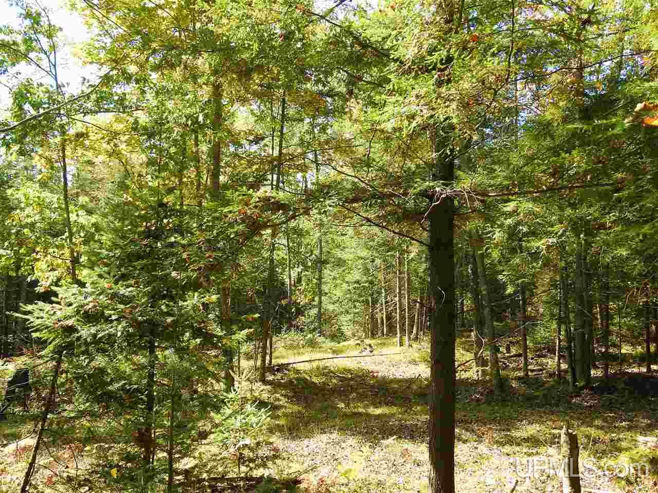 N4551 Weaver Road Florence, WI 54121 - Photo 10 of 10