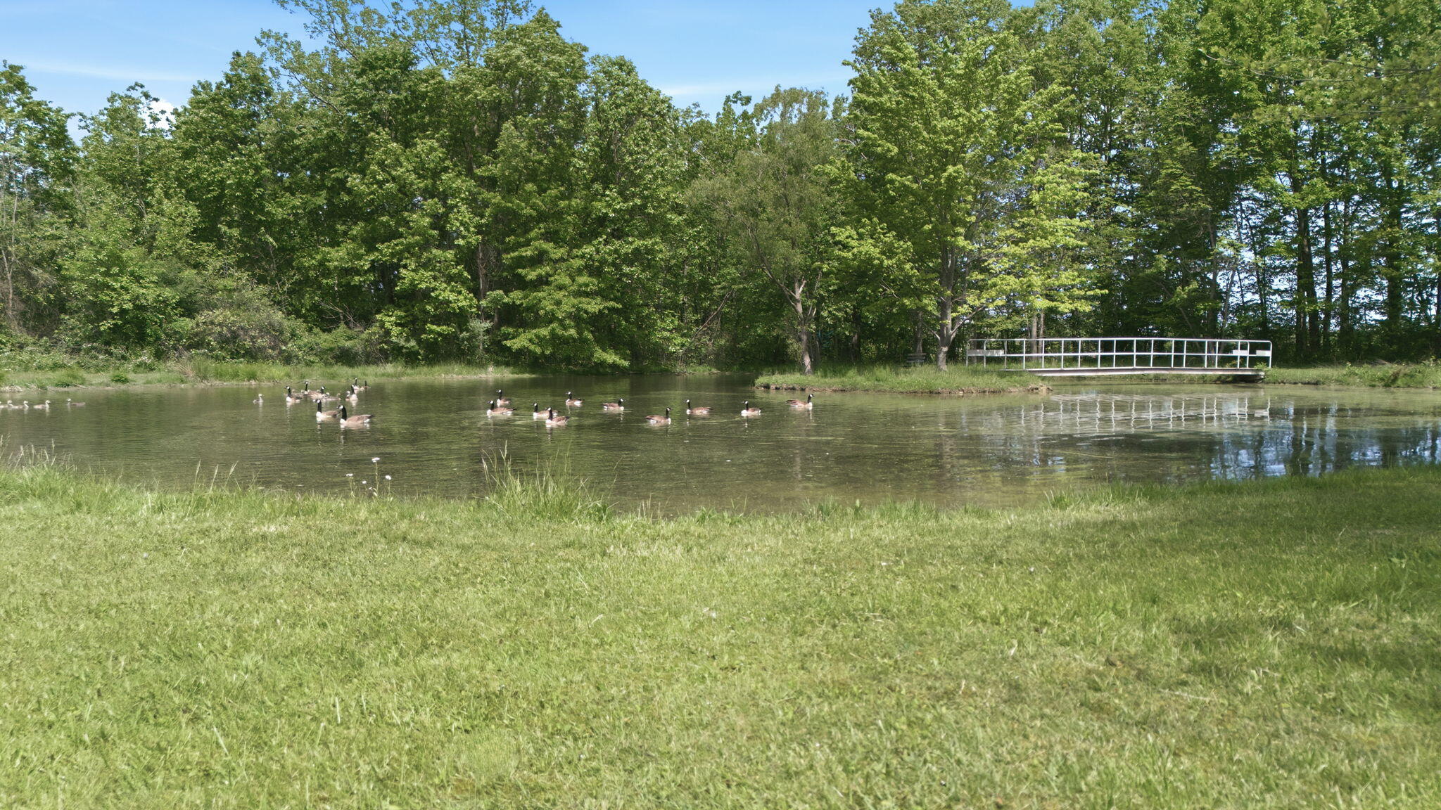 7767 Warren Woods Road Three Oaks, MI 49128 - Photo 48 of 59 13-web-or-mls-DJI_20260522121954_0411_D