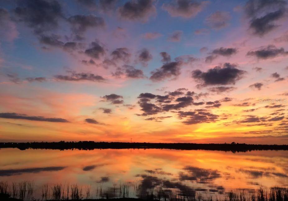 216 Caladium Avenue Lake Alfred, FL 33850 - Photo 8 of 19