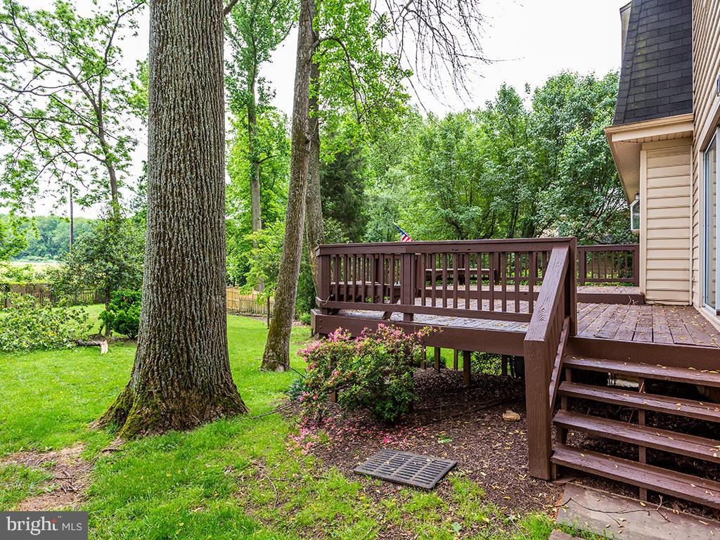 7217 Greentree Road Bethesda, MD 20817 - Photo 43 of 52