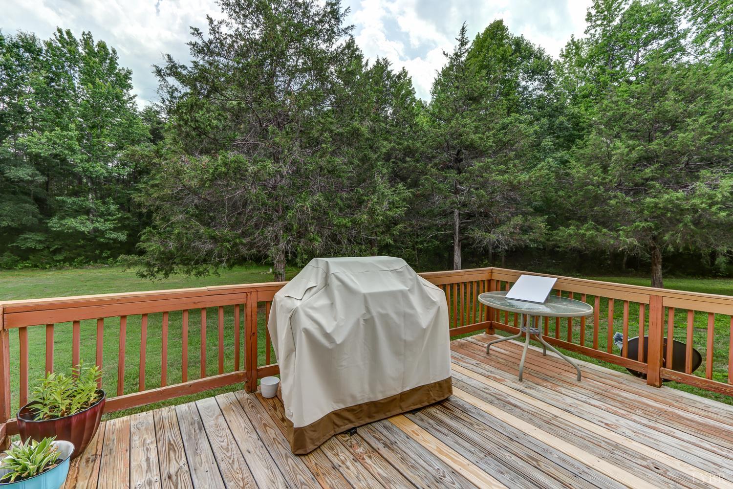 5648 Moons Road Long Island, VA 24569 - Photo 21 of 43