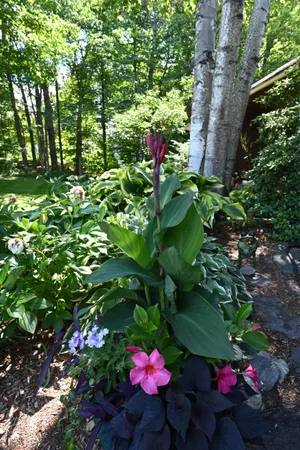 $449,000 | 103 Silver Circle, Barre Town, VT 05641