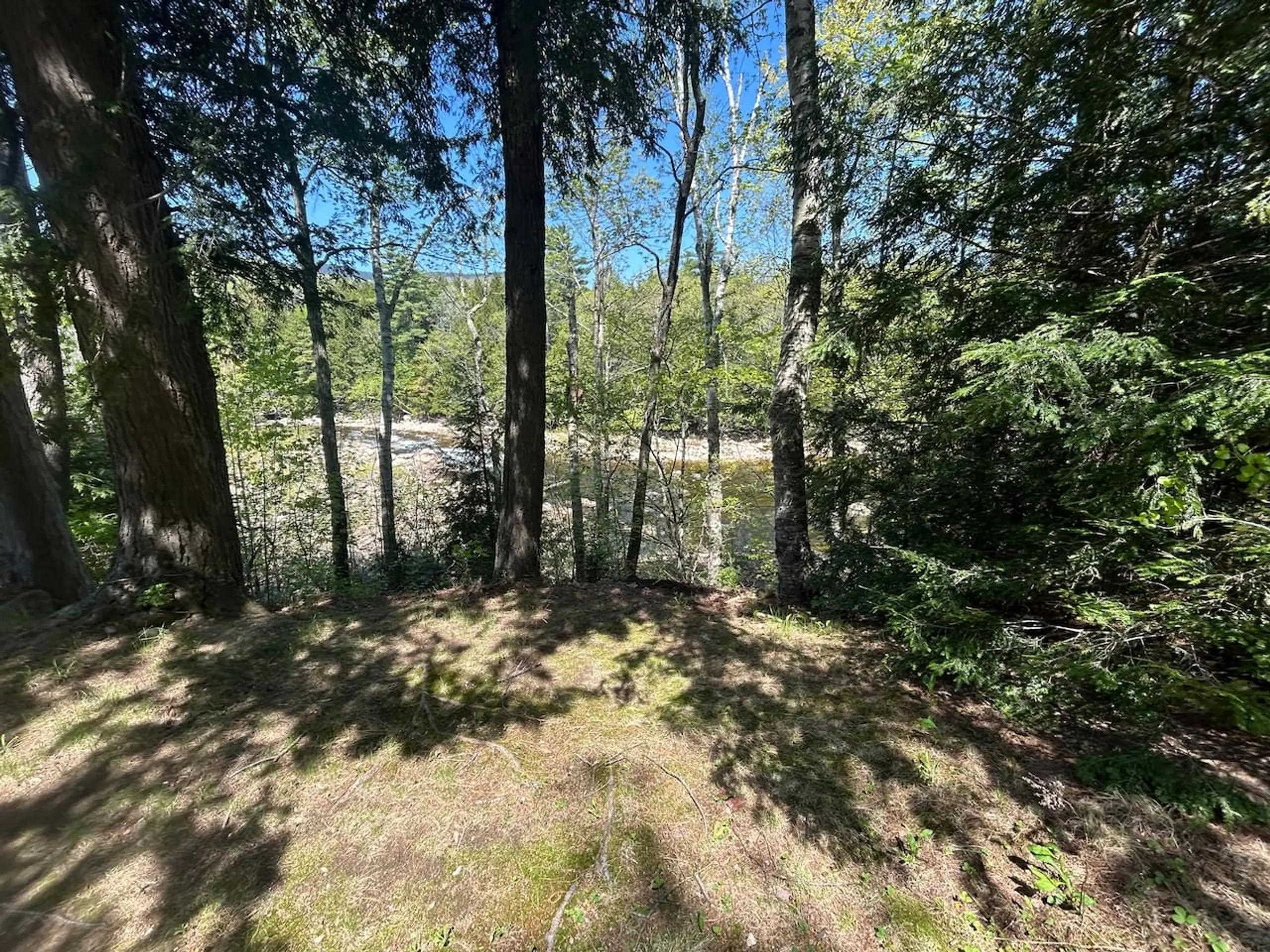 30 Linderhof Golf Course Road, Unit C1 Bartlett, NH 03838 - Photo 17 of 23