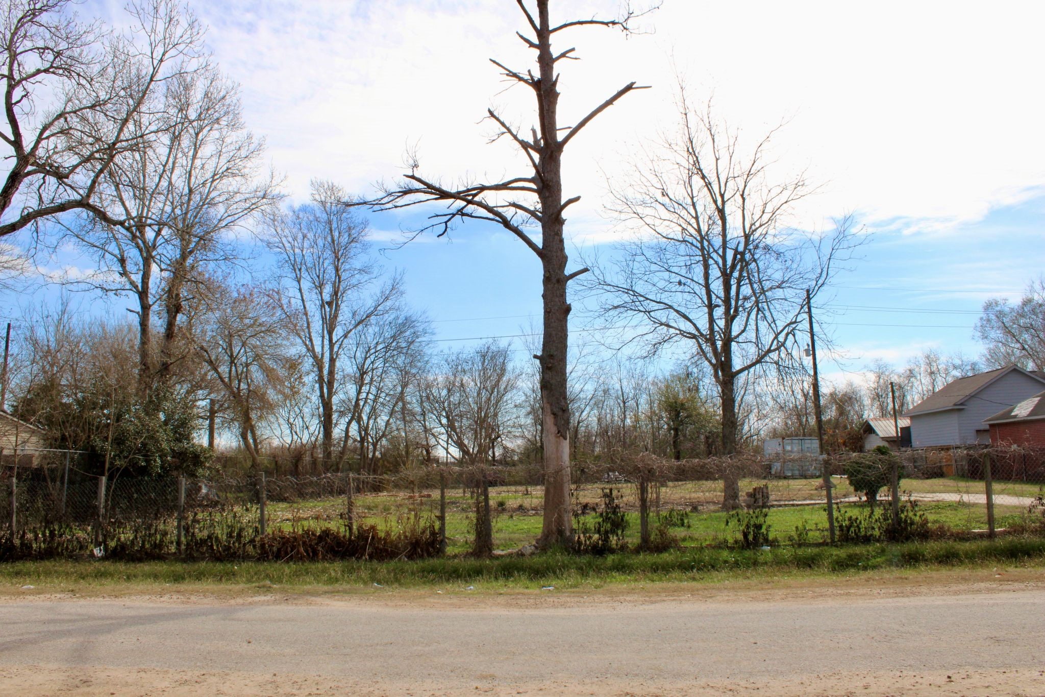 22203 Sandspoint Drive Katy, TX 77449 - Photo 3 of 7 a view of a yard
