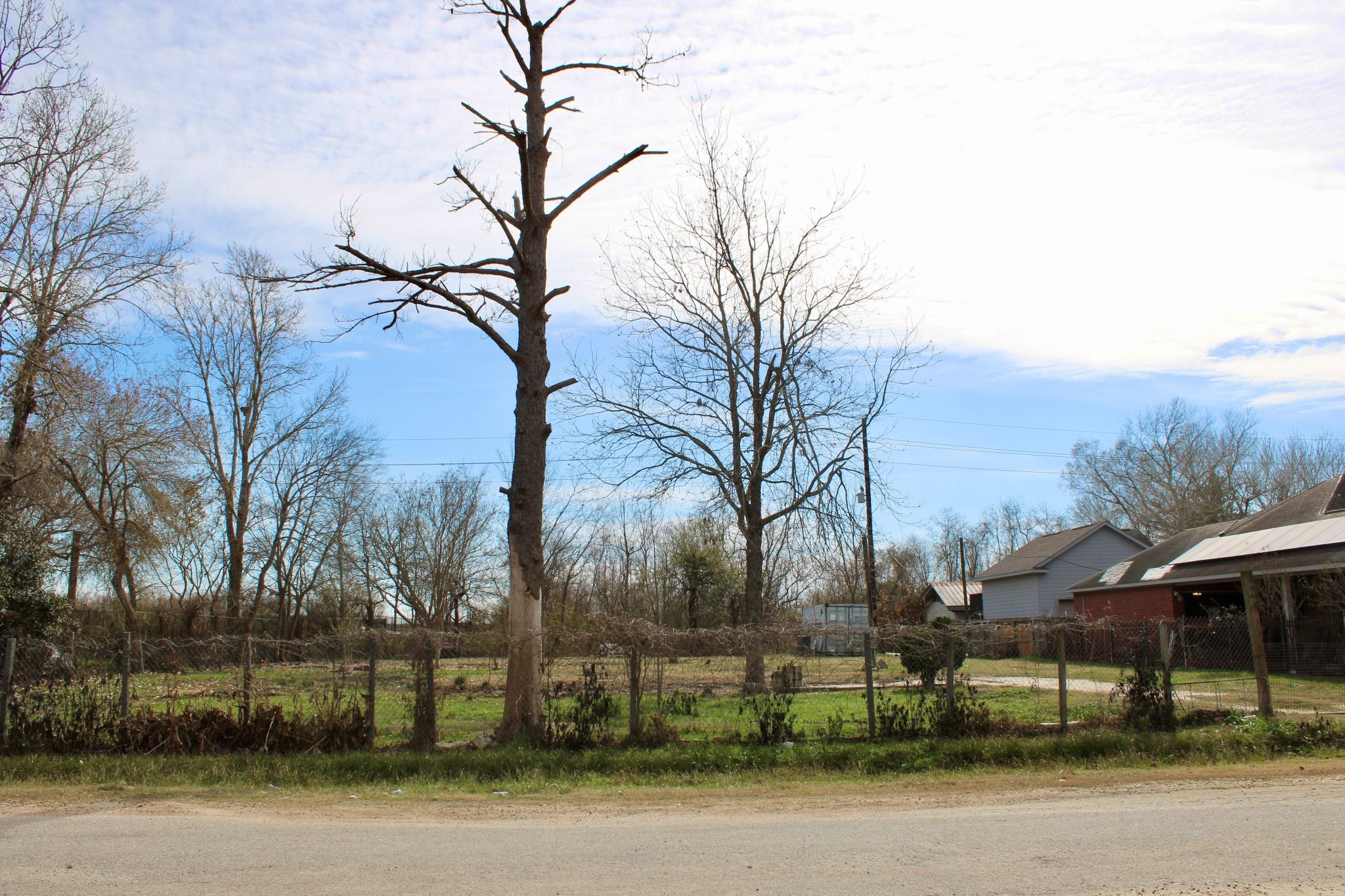 22203 Sandspoint Drive Katy, TX 77449 - Photo 5 of 7 a view of street with houses