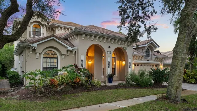 a view of a park with large trees