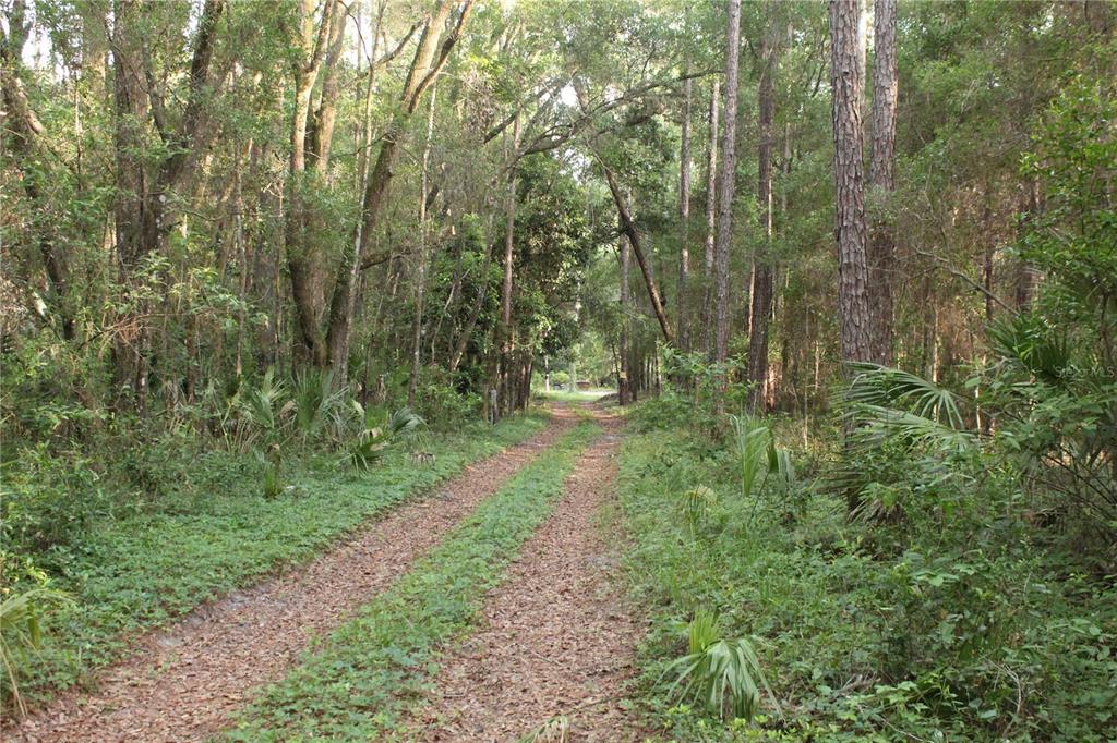 15821 Redbird Road Archer, FL 32618 - Photo 2 of 22