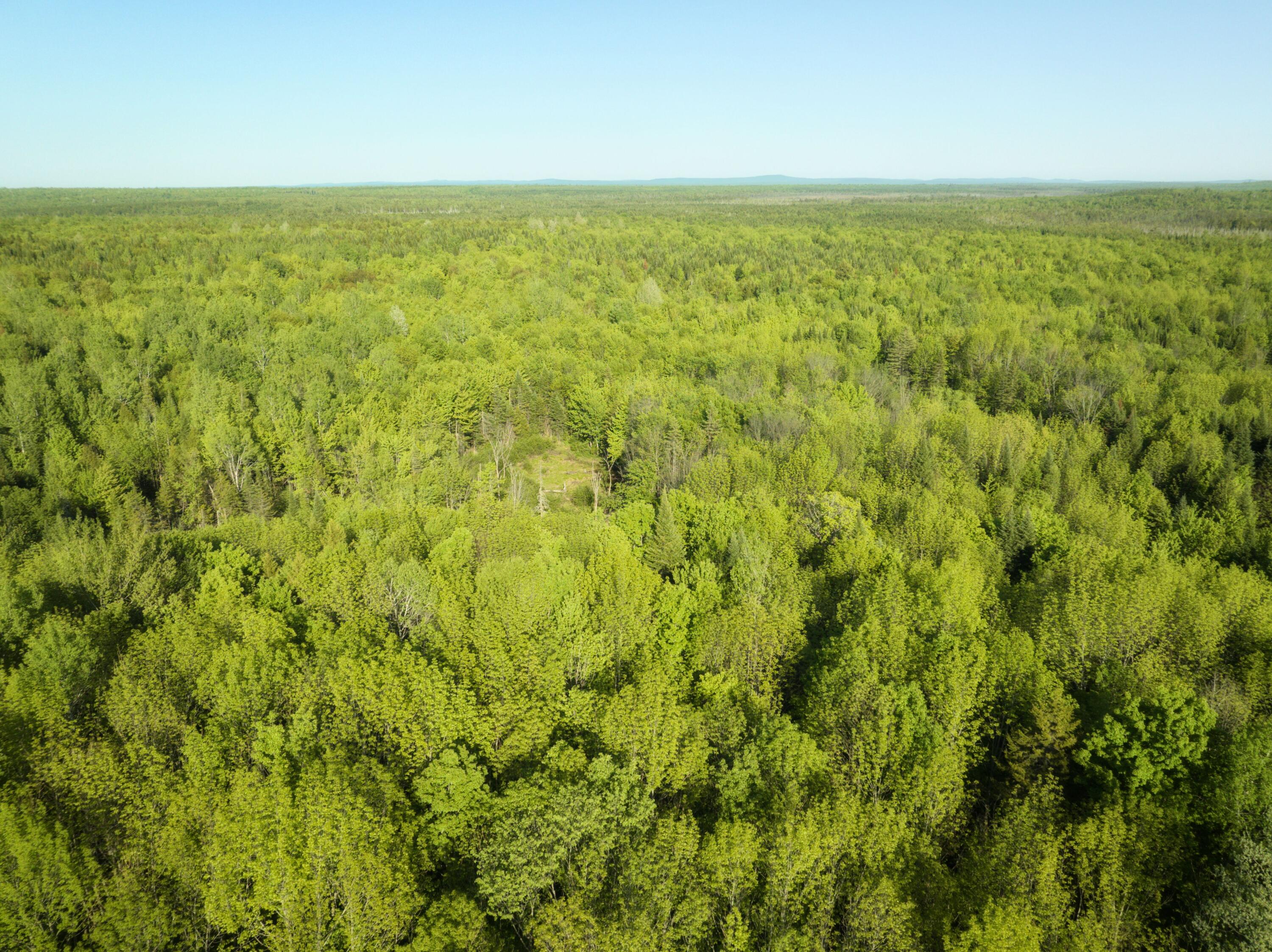 0 Dixie Road Wytopitlock, ME 04497 - Photo 15 of 22