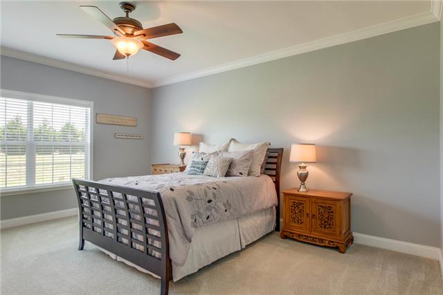 2250 Clara Mathis Road Spring Hill, TN 37174 - Photo 12 of 20 a bedroom with a bed and a chandelier