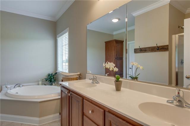 2250 Clara Mathis Road Spring Hill, TN 37174 - Photo 13 of 20 a bathroom with a double vanity sink and a mirror